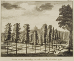 2335 Gezicht van den Starrenberg van onder, aen den Rozendael te sien, 1718