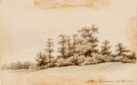3787 Eikenboschje -Brantsen-boschje-Hulkestein, 1868