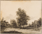 3795 Hommelsche weg en Apeldoornse straatweg genomen op Moscowa, 1868
