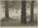 4054-0006 De Duno bij Heveadorp, ca. 1900-1927