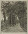 4054-0010 De Duno bij Heveadorp, ca. 1900-1927