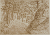 4055-0007 Het park - boschpad bij de oude sprengen - 1907, 1907