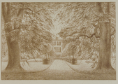 4055-0011 Het park - Oranjeboomallee - 1908, 1908