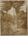 4055-0012 Het park - boschgezicht - 1909, 1909
