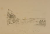 4184-0002 Duingezicht bij Kraantje Lek, ca. 1890