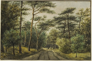 477 Noordwijker bosch. Bosch gezigt tusschen Noordwijk Binnen en Noordwijkerhout, 1874