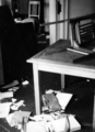 4244 VERWOESTINGEN, 1945