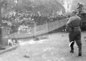 5659 SLAG OM ARNHEM, 19 september 1944