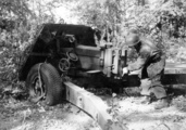 5794 SLAG OM ARNHEM, 1944