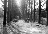 5795 SLAG OM ARNHEM, september 1944