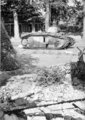 5811 SLAG OM ARNHEM, september 1944