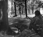 5837 SLAG OM ARNHEM, september 1944