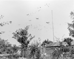 5850 SLAG OM ARNHEM, september 1944