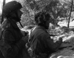 5853 SLAG OM ARNHEM, september 1944