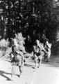6065 SLAG OM ARNHEM, 17-09-1944 t/m 27-09-1944