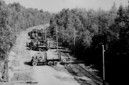 6130 VERWOESTINGEN, 1945