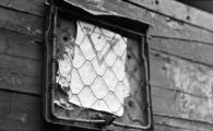 6311 TWEEDE WERELDOORLOG, 1945