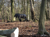 4089 Bomenkap in Park Klarenbeek, 18-12-2020