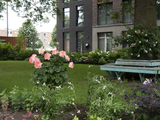 4229 Woningen Rodenburgstraat, 02-07-2021