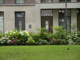 4230 Woningen Rodenburgstraat, 02-07-2021