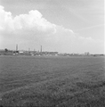 153 Uiterwaarden Arnhem-Zuid, ca. 1960