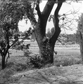 160 Diverse gebouwen, ca. 1960