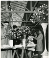 15085 Sonsbeek Flora, 11-04-1956