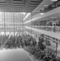 602 Stadhuis opening, 12-09-1968