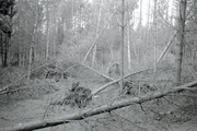 1064 Oosterbeek, de Bilderberg, 1973-04-10