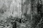 1066 Oosterbeek, de Bilderberg, 1973-04-10