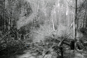 1067 Oosterbeek, de Bilderberg, 1973-04-10