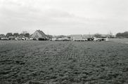 1116 Renkum, Bosweg, 1973-02-00