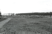 1132 Renkum, Bosweg, 1973-02-00