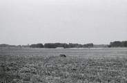 136 Doorwerth - Heelsum, 1971-09-00