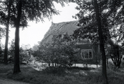 1945 Wolfheze - Renkum, zomer 1974