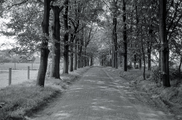 1970 Wolfheze, Duitsekampweg, augustus 1974