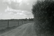 2200 Oosterbeek, Polderweg, september 1975