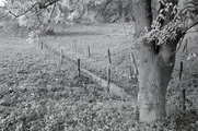 3160 Oosterbeek, van Borsselenweg, oktober 1979