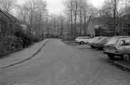 3218 Wolfheze, Lindeboomlaan, januari 1981