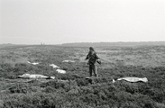 3244 Ede, Ginkelse Heide, september 1980