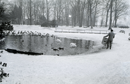 3348 Oosterbeek, Hemelse Berg, winter 1978/79