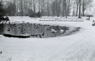 3350 Oosterbeek, Hemelse Berg, winter 1978/79