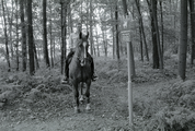 3416 Oosterbeek, Valkenburglaan, zomer 1980