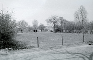 3680 Heelsum, Doornenkampseweg, 1981-1982 (?)