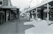 3859 Renkum, Dorpsstraat, 1981 - 1982 (?)
