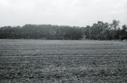 402 Wolfheze, terrein Barenbrug, 1972-09-00