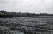 405 Wolfheze, terrein Barenbrug, 1972-09-00
