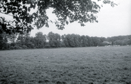 419 Wolfheze, terrein Barenbrug, 1972-09-00