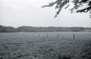 422 Wolfheze, terrein Barenbrug, 1972-09-00