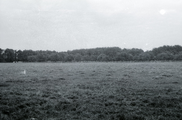 424 Wolfheze, terrein Barenbrug, 1972-09-00